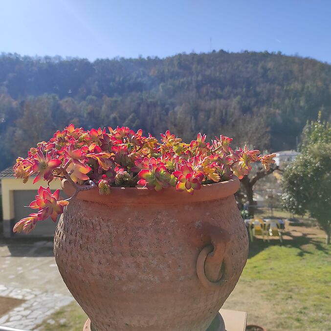 Torre en venda a Massanes