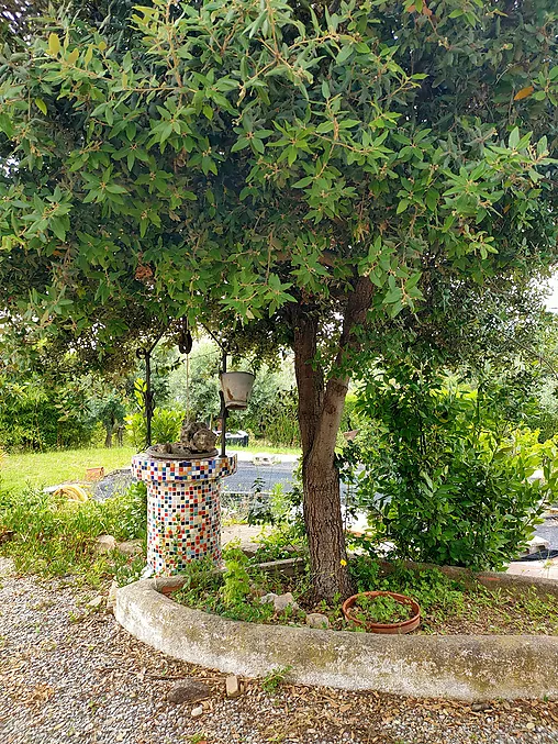 Torre de planta baixa en venda a Riudarenes