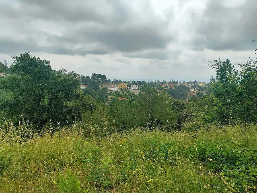 Parcela urbanitzable en venda a Riudarenes