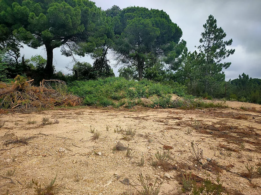 Parcela urbanitzable en venda a Riudarenes