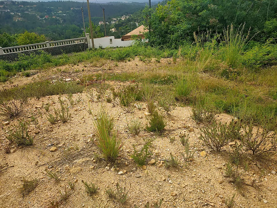 Parcela urbanitzable en venda a Riudarenes