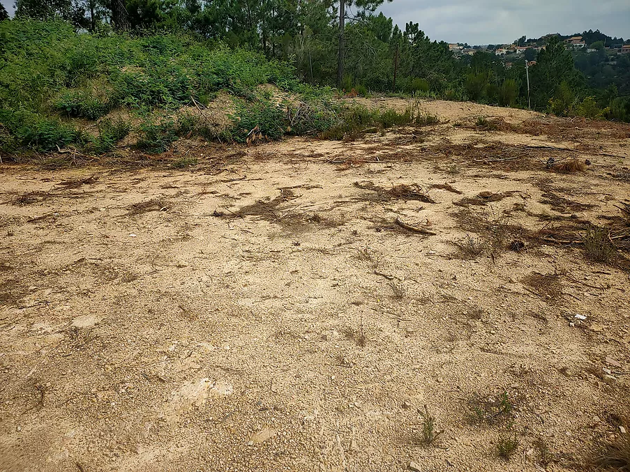 Parcela urbanitzable en venda a Riudarenes