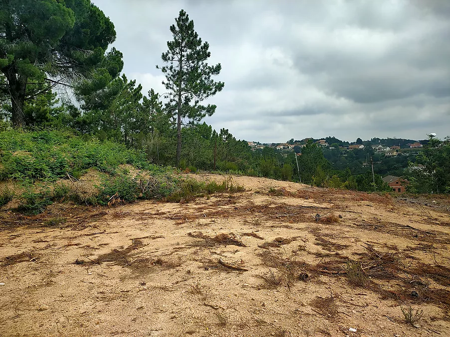 Parcela urbanitzable en venda a Riudarenes