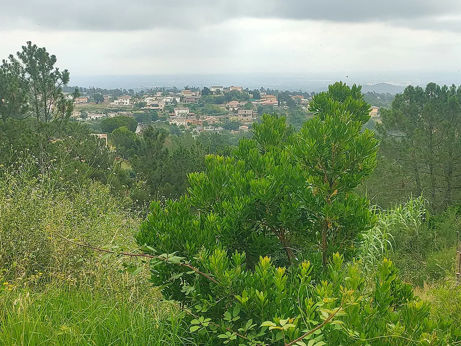 Parcela urbanitzable en venda a Riudarenes