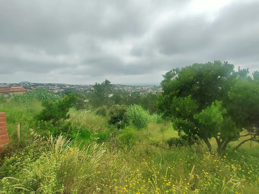 Parcela urbanitzable en venda a Riudarenes