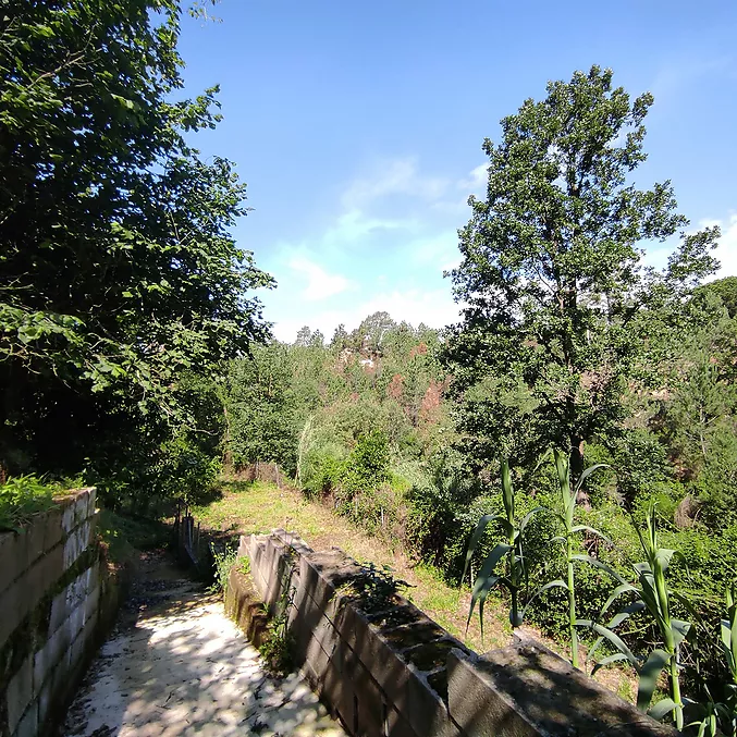 Torre en venda a Riudarenes