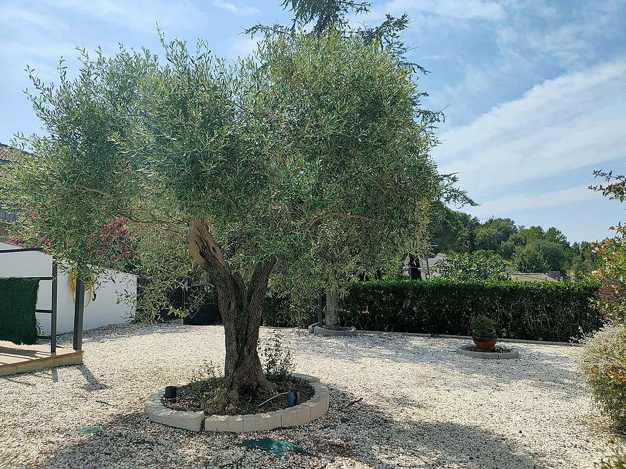 Torre en alquiler en Maçanet de la Selva