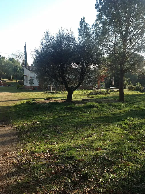 Finca rustica en venta en Sant Feliu de Buixalleu