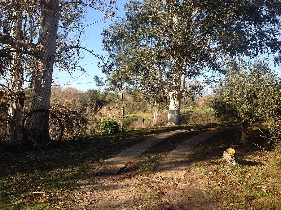 Finca rustica en venta en Sant Feliu de Buixalleu