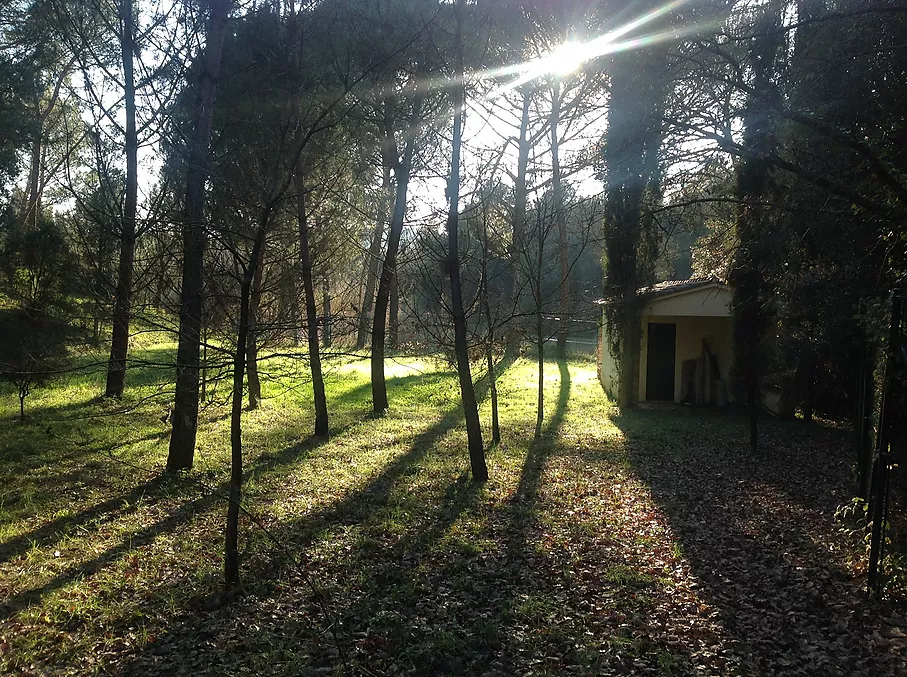 Finca rustica en venta en Sant Feliu de Buixalleu