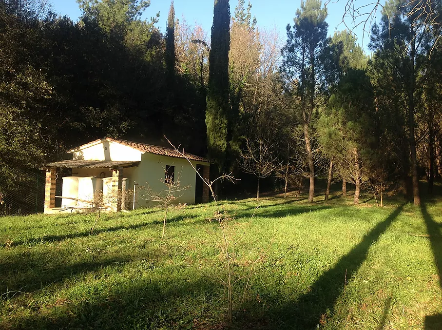 Finca rustica en venta en Sant Feliu de Buixalleu