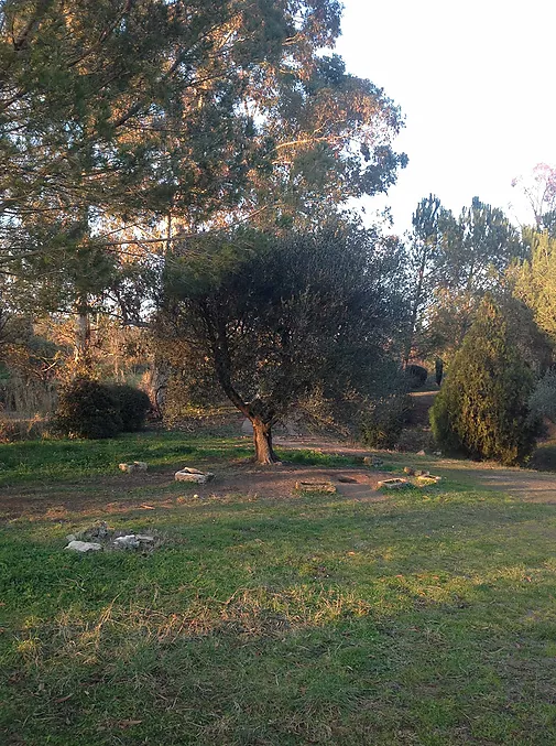 Finca rustica en venta en Sant Feliu de Buixalleu