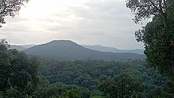 TERRENY EDIFICABLE EN VENDA A FOGARS DE LA SELVA