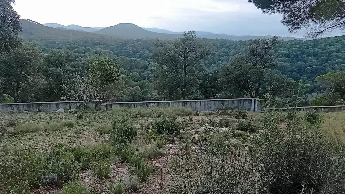 TERRENY EDIFICABLE EN VENDA A FOGARS DE LA SELVA